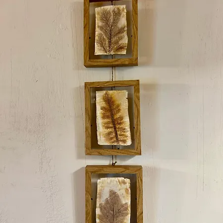 Candiles De Kır Evi Aldeasaz